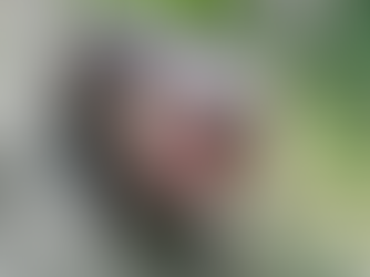 ถอดรหัส หมูเด้ง เซเลบแห่งสวนสัตว์เปิดเขาเขียวเปิดโอกาสธุรกิจ แบรนด์ทำ Social Media Marketing ล้นตลาด เกาะกระแสความน่ารักมัดใจแฟนด้อม