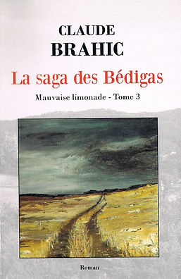 Saga T3.jpg