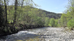 D'eau et