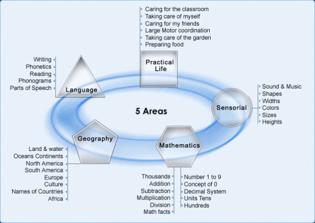 5 areas.gif