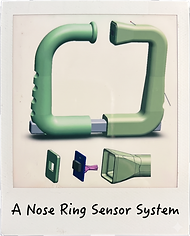 a nose ring.png