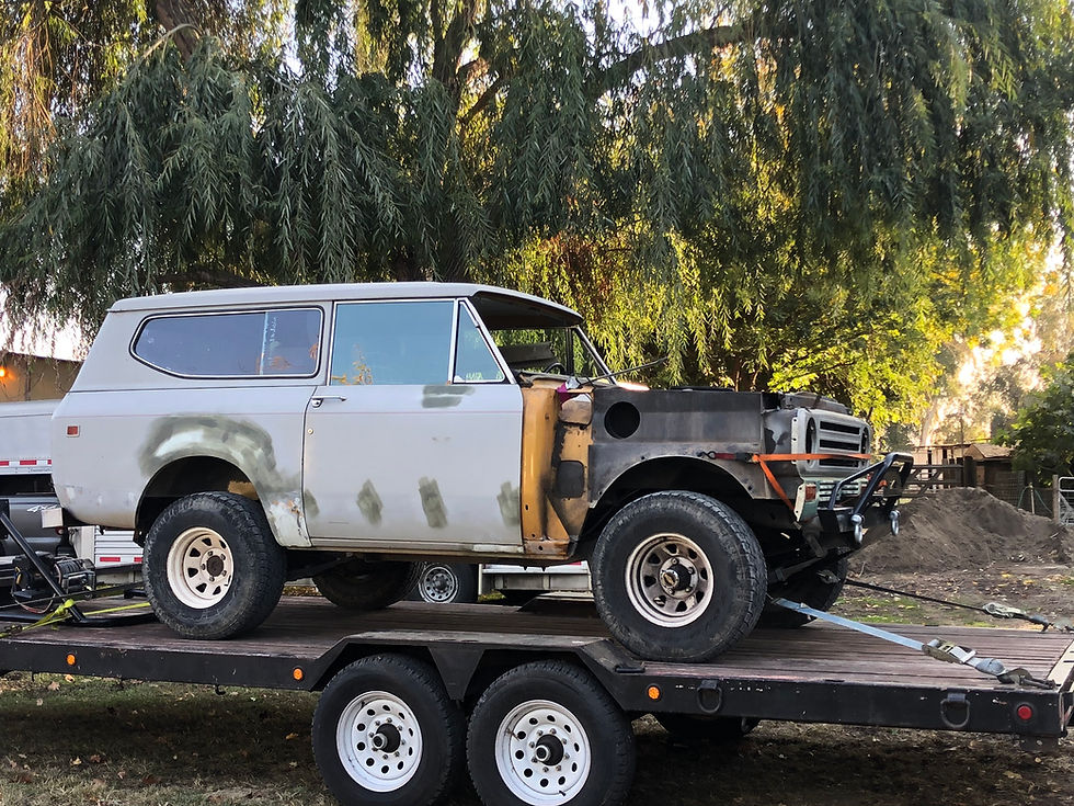 1979 Scout