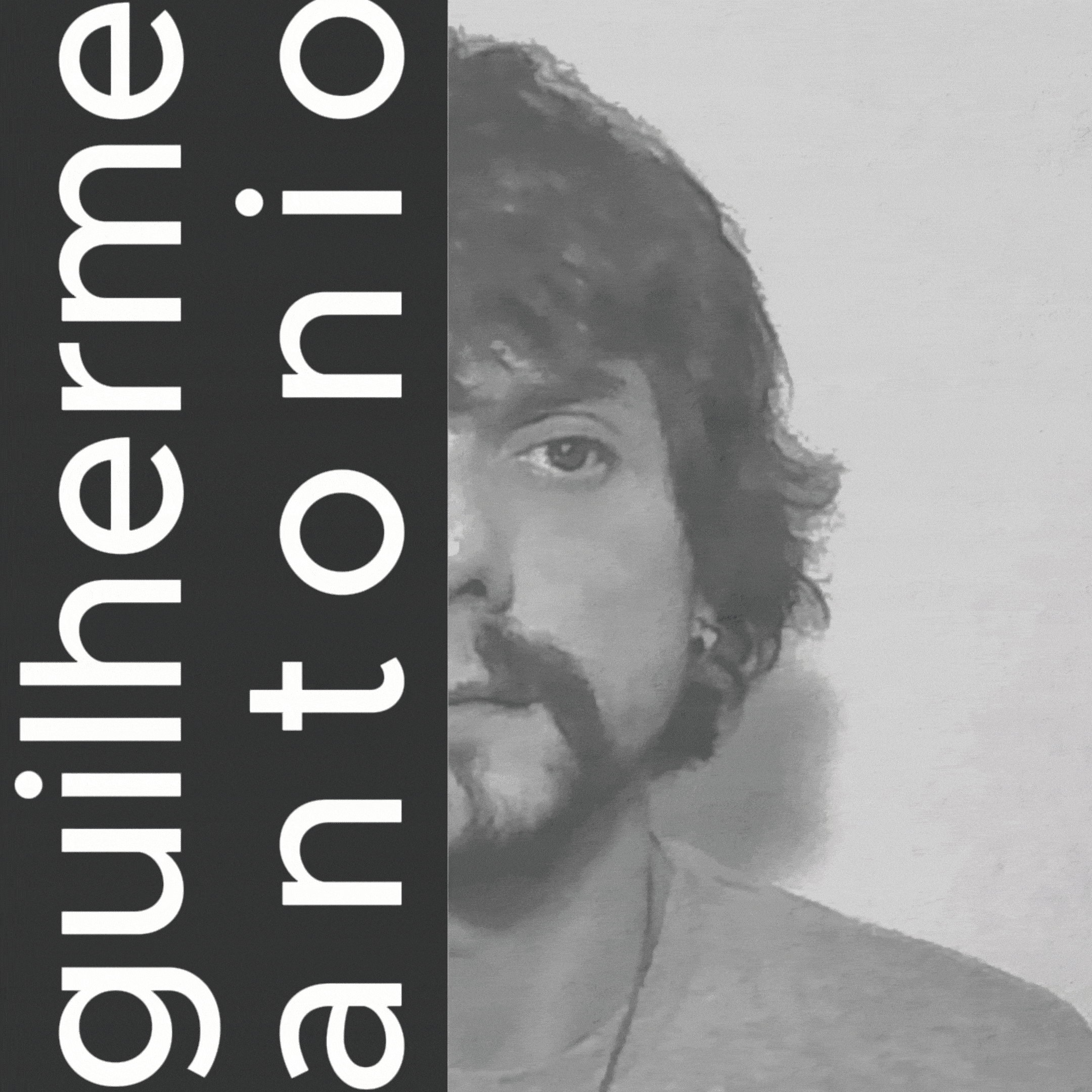 Trata-se de um arquivo tipo-gif, onde o artista utiliza seu logotipo como fundo, e uma série de recortes de fotografias de seu rosto sobre põem partes da foto ao fundo.