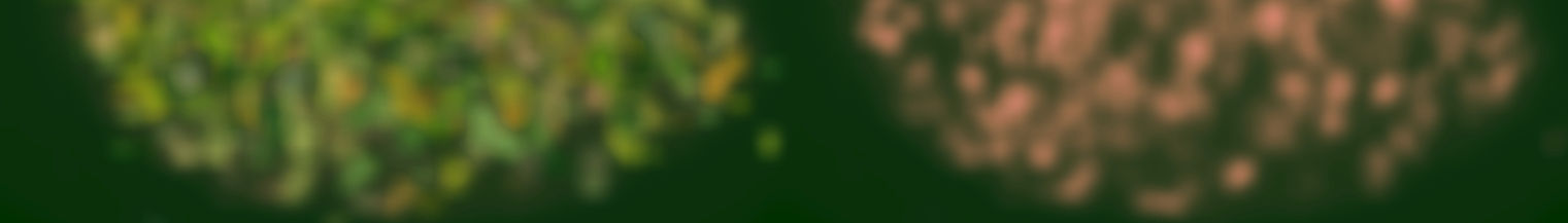 _edited.jpg