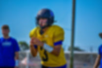 colt inselman.jpeg