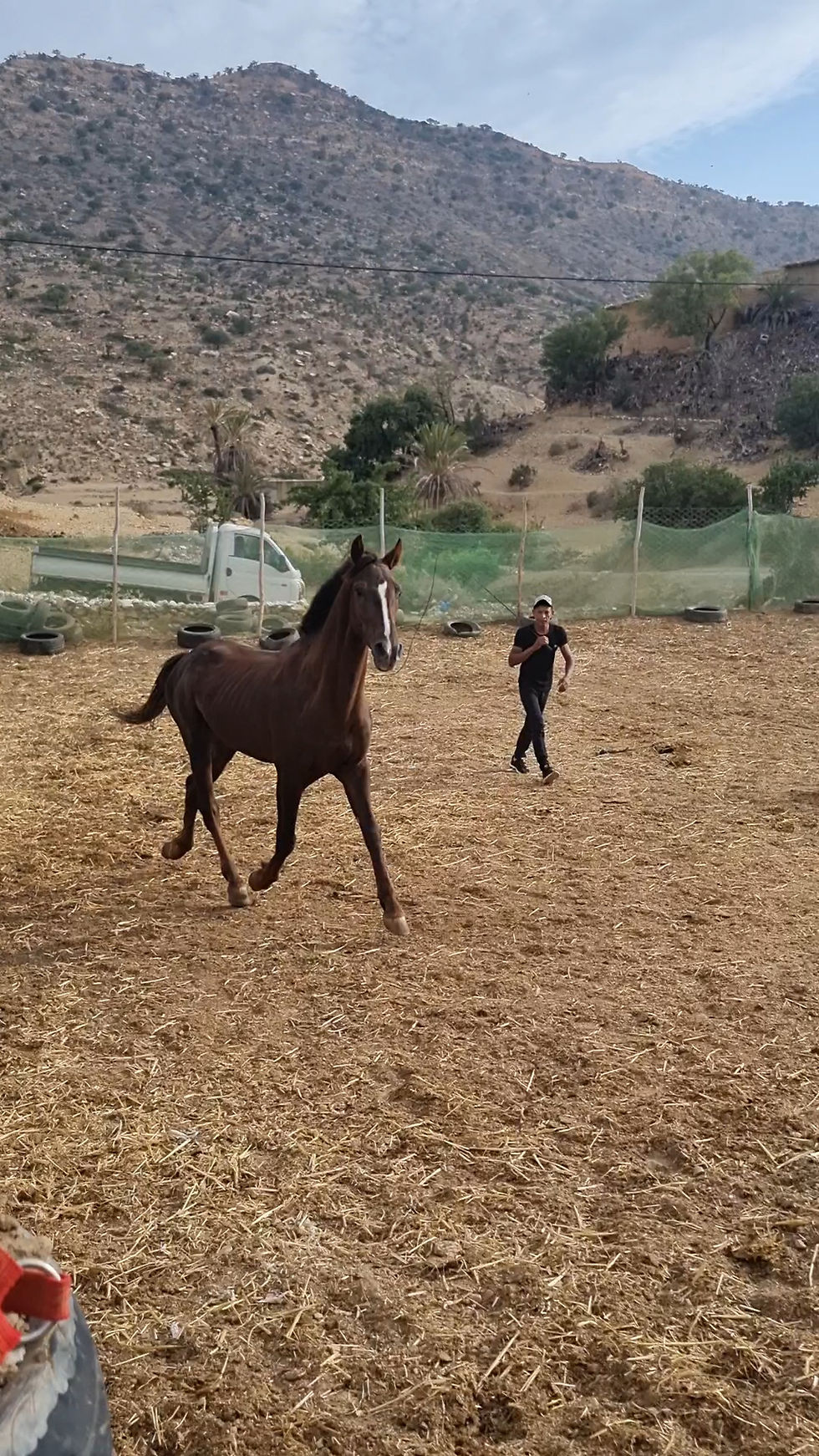 VideoCapture_20230517-145755