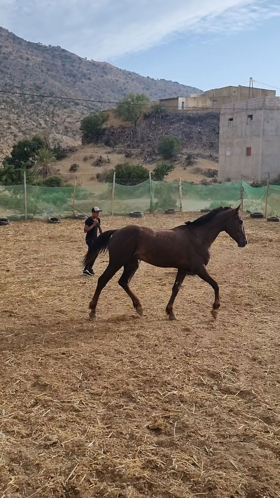 VideoCapture_20230517-145744
