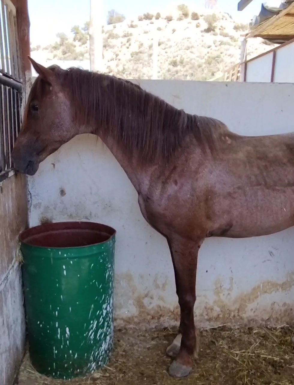 videocapture_20230518-093128_edited