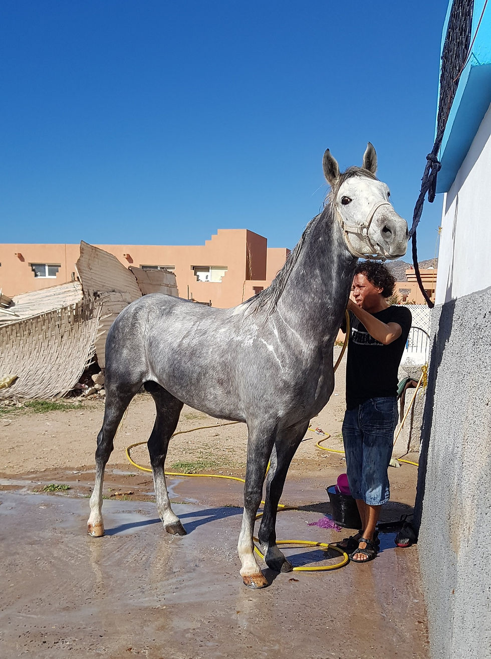 20191229_141120_edited