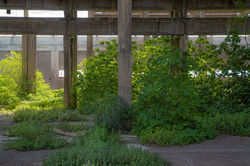 Nature’s Definition of Space, 3