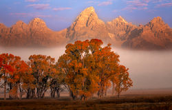 Fall Haze
