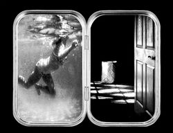 The Surfacing And The Coming Of The Light