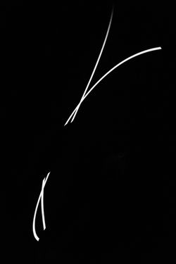 From the series 'E = mc²'