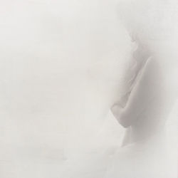 Fog of Dawn