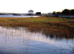 Banks of Charleston