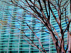 Branches Across Tokyo Art Center