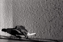 Woman Alone: Her Own Best Friend