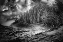 How I fell in love with a storm