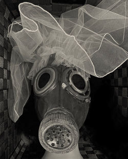 Bride of the apocalypse