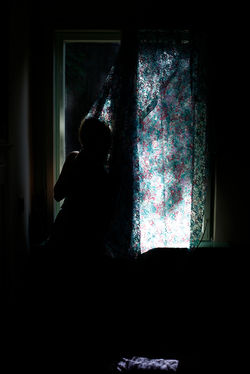 The Woman at the window No. 2
