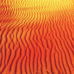 A sand dune of Australian Red Centre