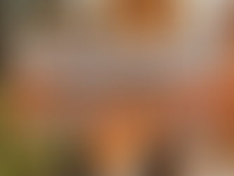 Paris Winter Carnival