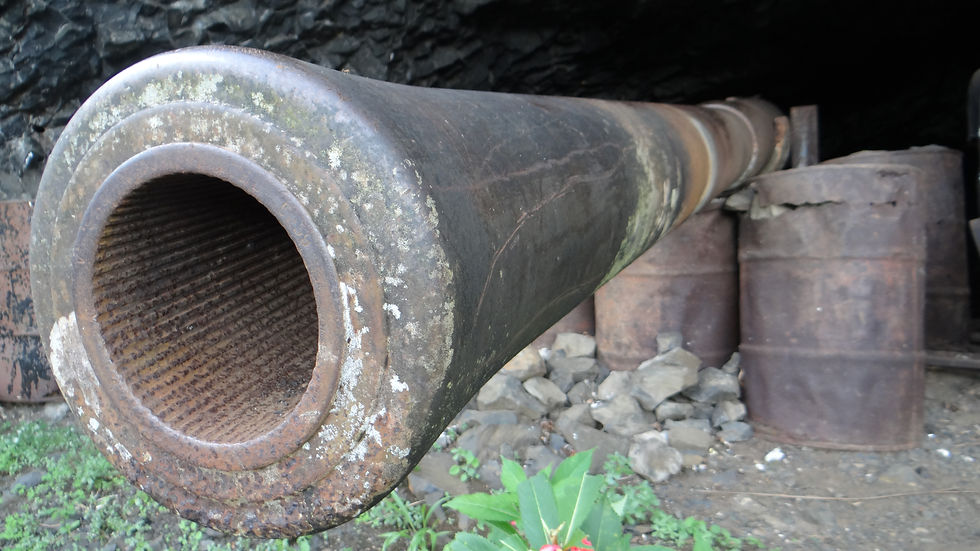 World War II Japanese Canon