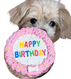 Dezicakes Dog Birthday Cake