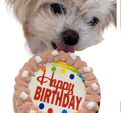 Rocky Road w/ Marshmallows Crispy Dog Birthday Cake