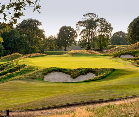 the lakewood wimbledon