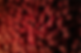 pexels-karolina-grabowska-4039487 1.png