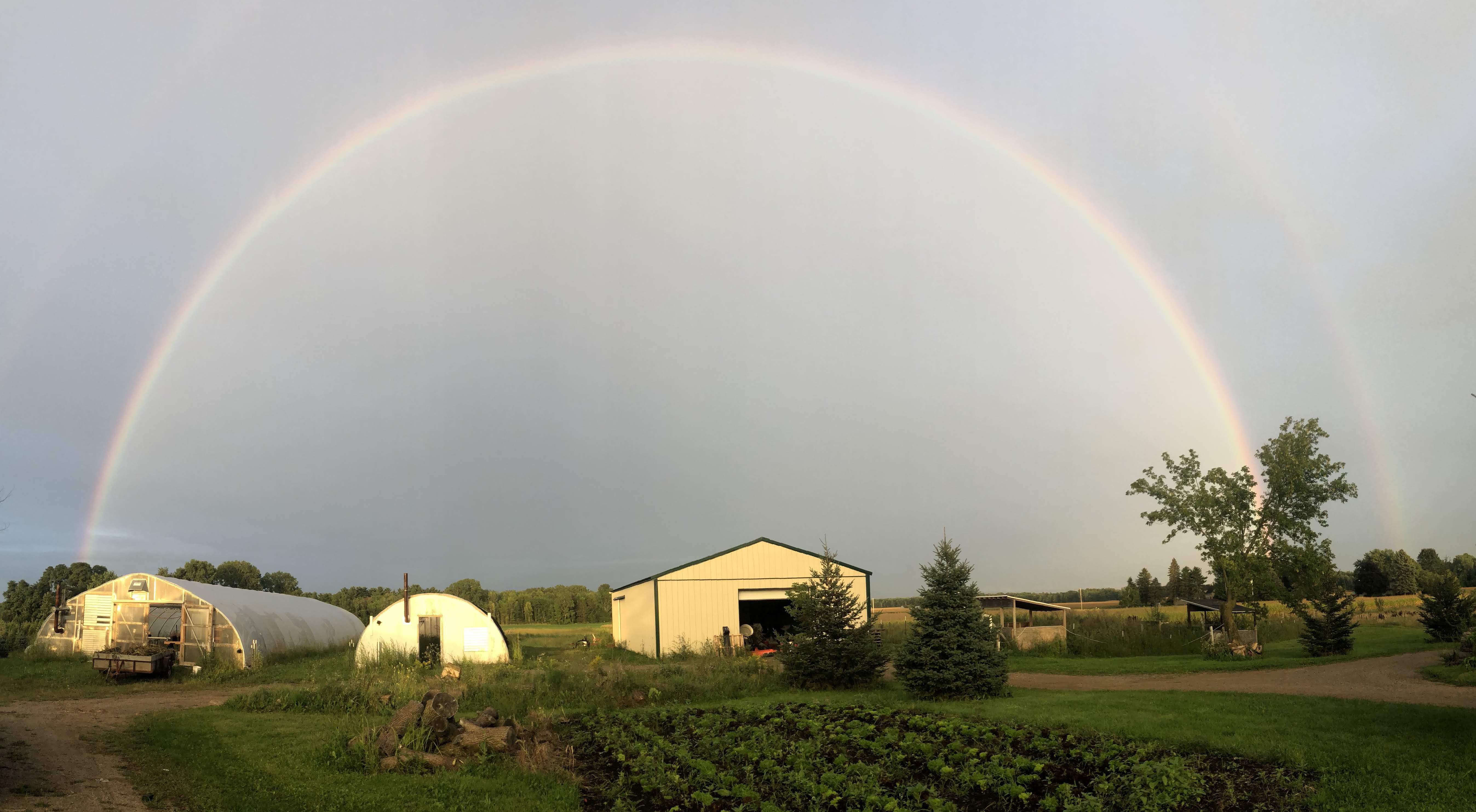 A magnificent rainbow over our field