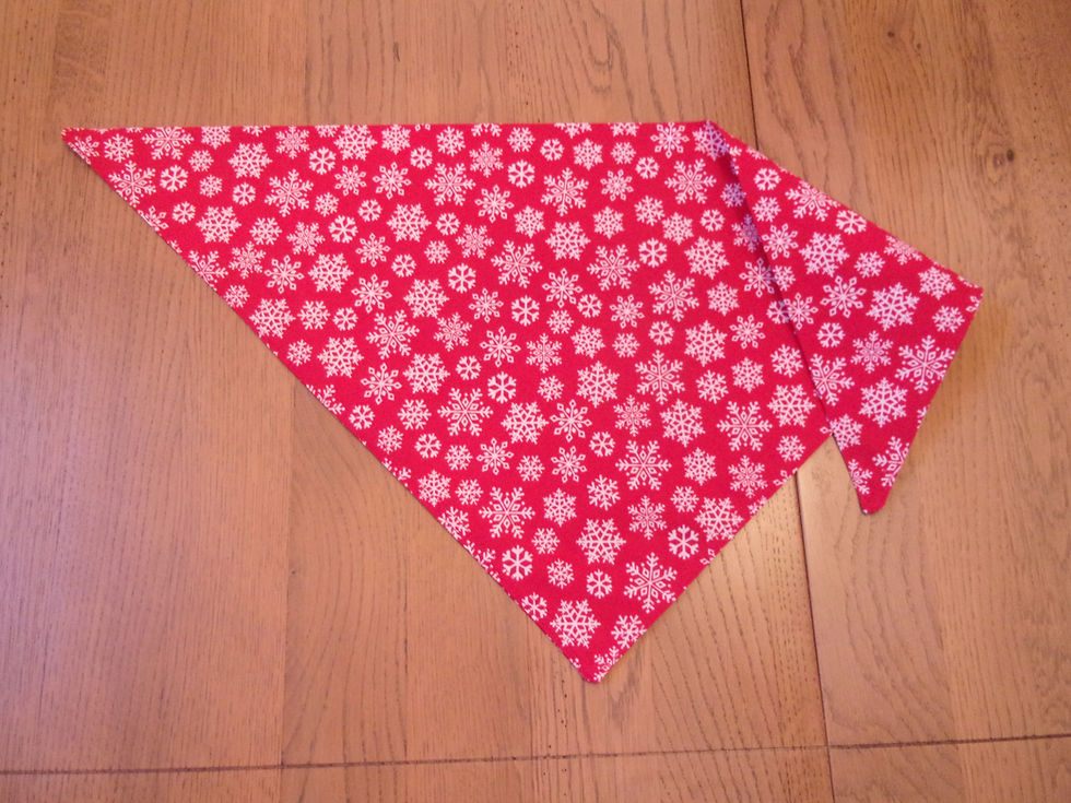 Thumbnail: Snowflake Tied Bandanas