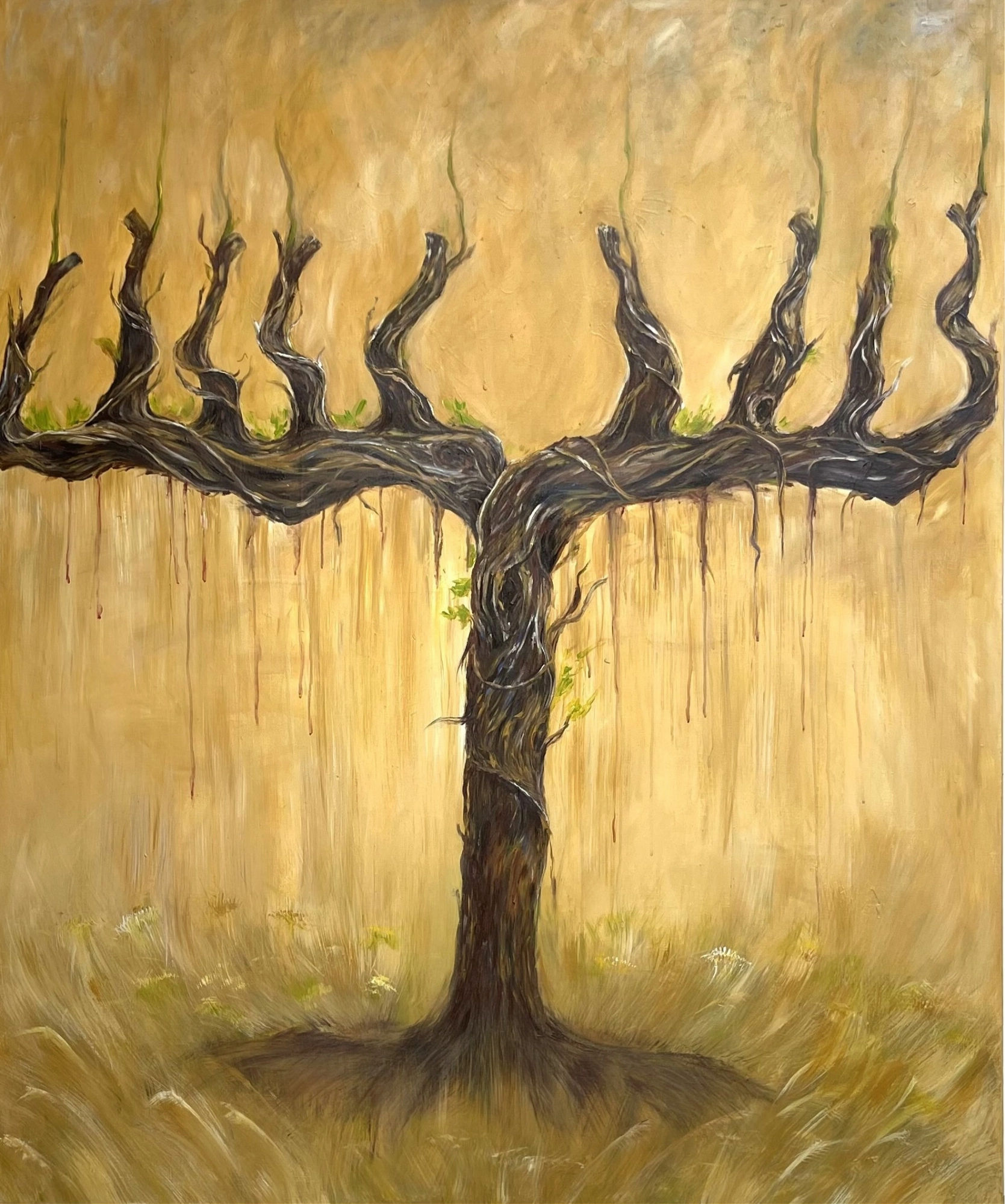 Rooted in Time