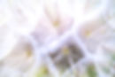 paul-talbot-pQDBGxtiDEo-unsplash_edited.jpg