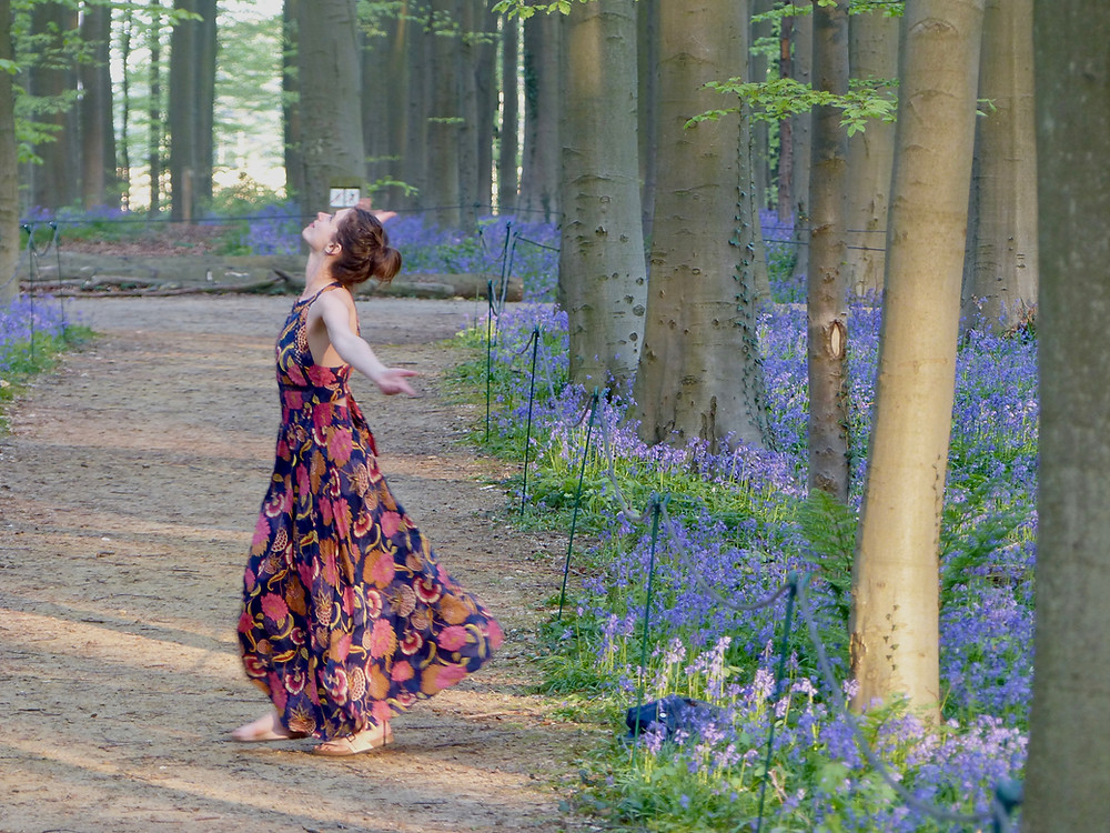 Lindsey Curtis, Bois de Halle