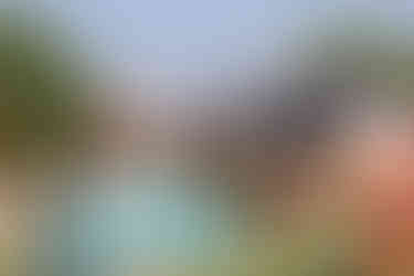 Old School Samba at the World Custard Pie Championships