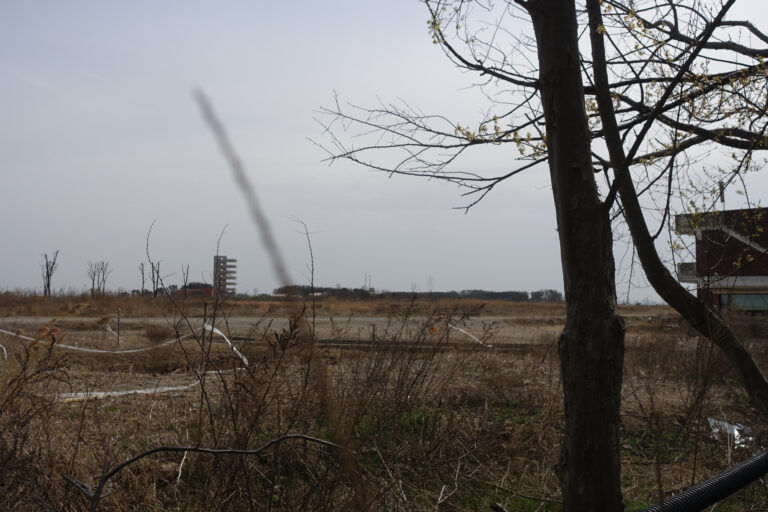 2021년 4월 호텔단지 건설이 제안된 장소.