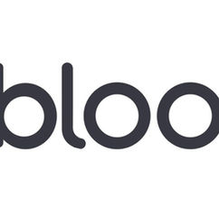 Introduction to Bloomz