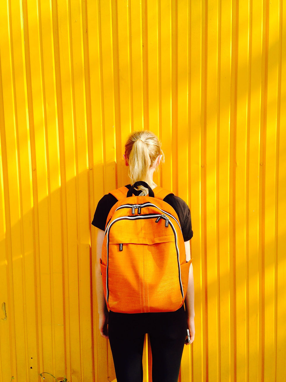 david-pisnoy-5Ds41iHXAKo-unsplash