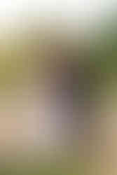 Bride and groom standing in the low sunlight kissing