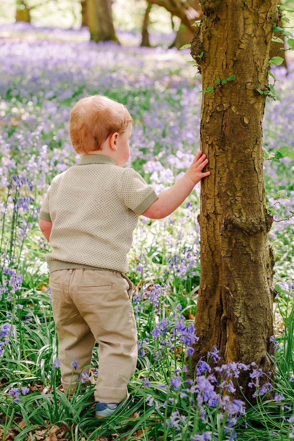 A child in beige clothing touches a tree in a sunlit forest, surrounded by blooming bluebells, creating a peaceful, natural scene.