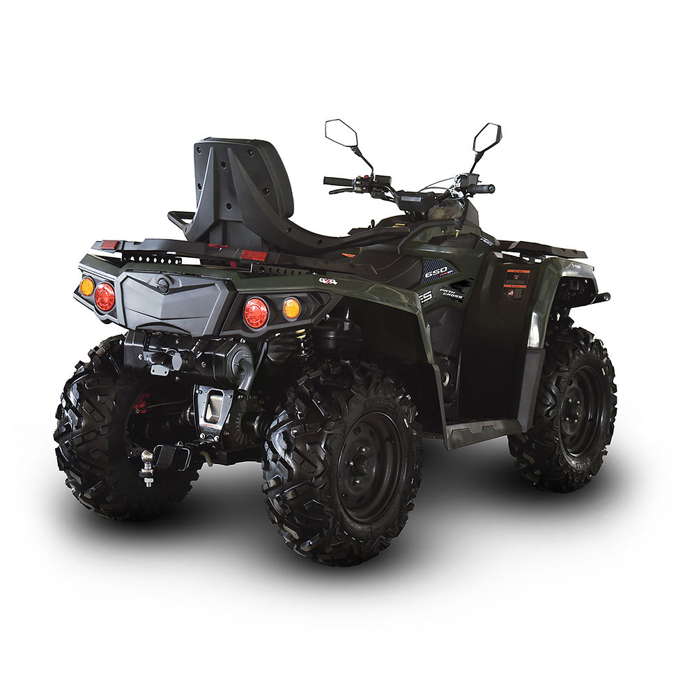 Thumbnail: Pathcross 1000   30th anniversary