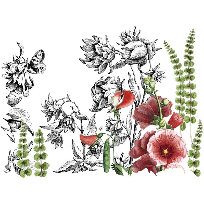 Miniature : Midnight garden, transfert IOD