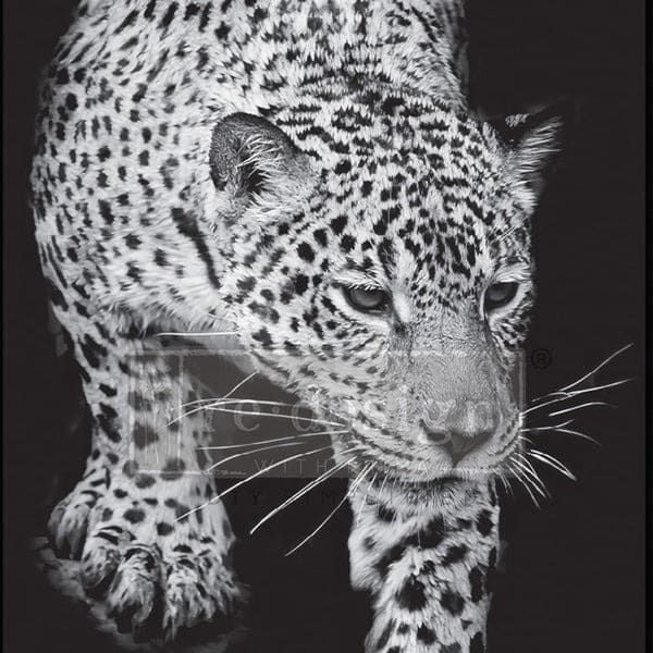 Miniature : 'Feline Gaze', Decoupage Fiber Paper A1, Redesign with Prima