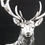 Miniature : Grand cerf fond noir