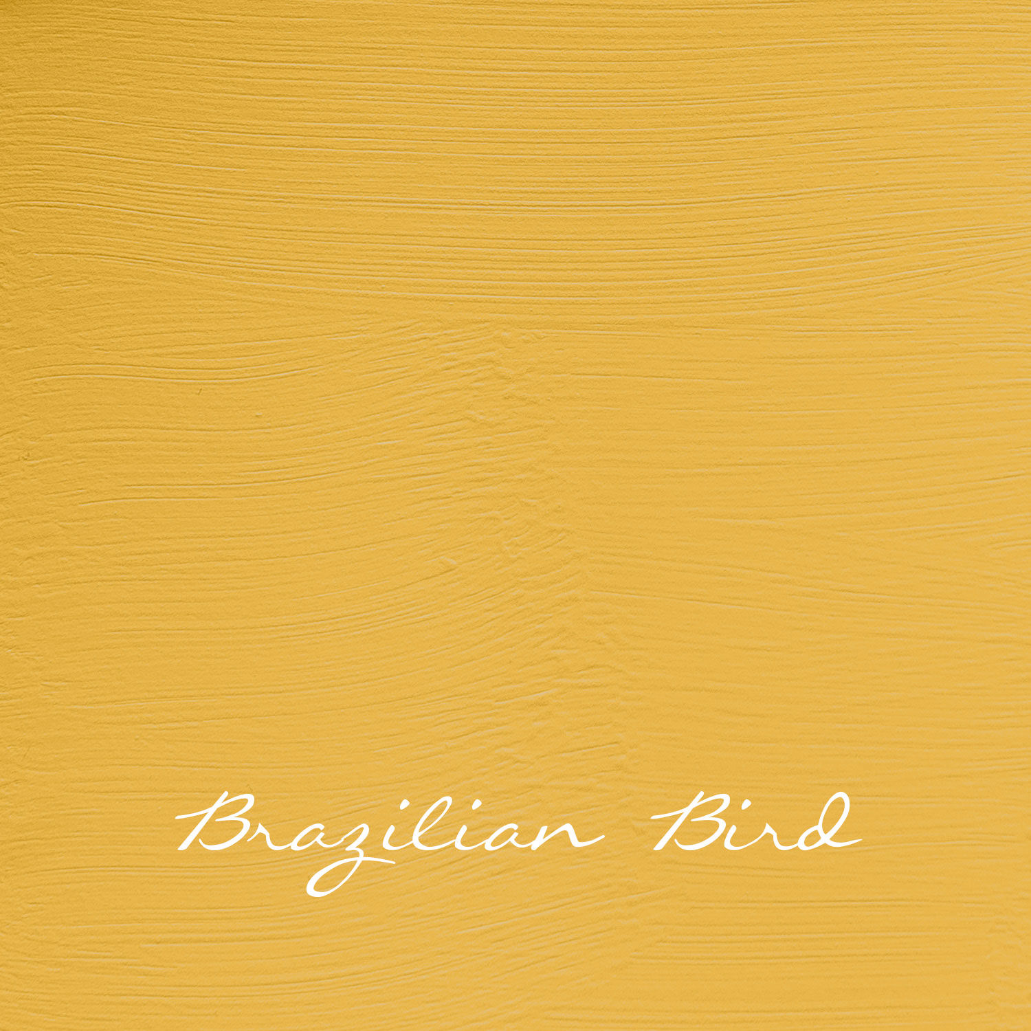 Brazilian Bird (oiseau brésilien), Versante Autentico, 500ml, mat