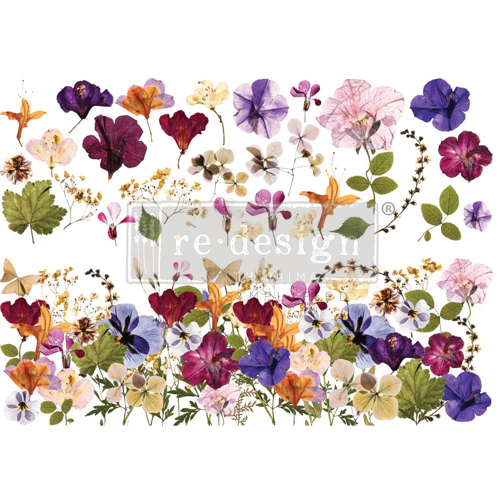 Pressed Flowers / Fleurs séchées, transfert XL, redesign