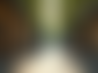 Safety Comparison: Roma vs Condesa vs Centro