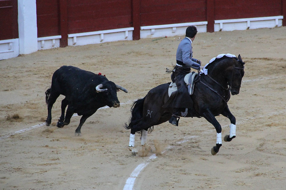 farruco 3.jpg